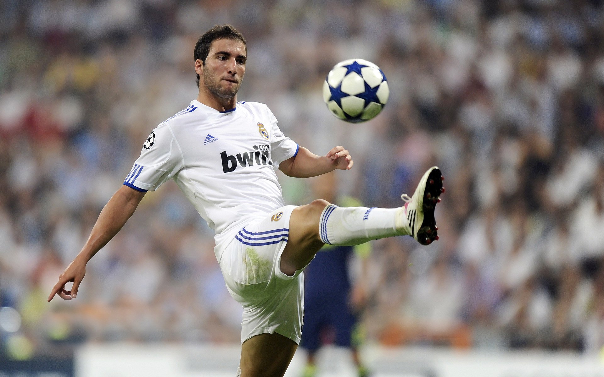 突尼斯联赛观众热情高涨，突尼斯打法