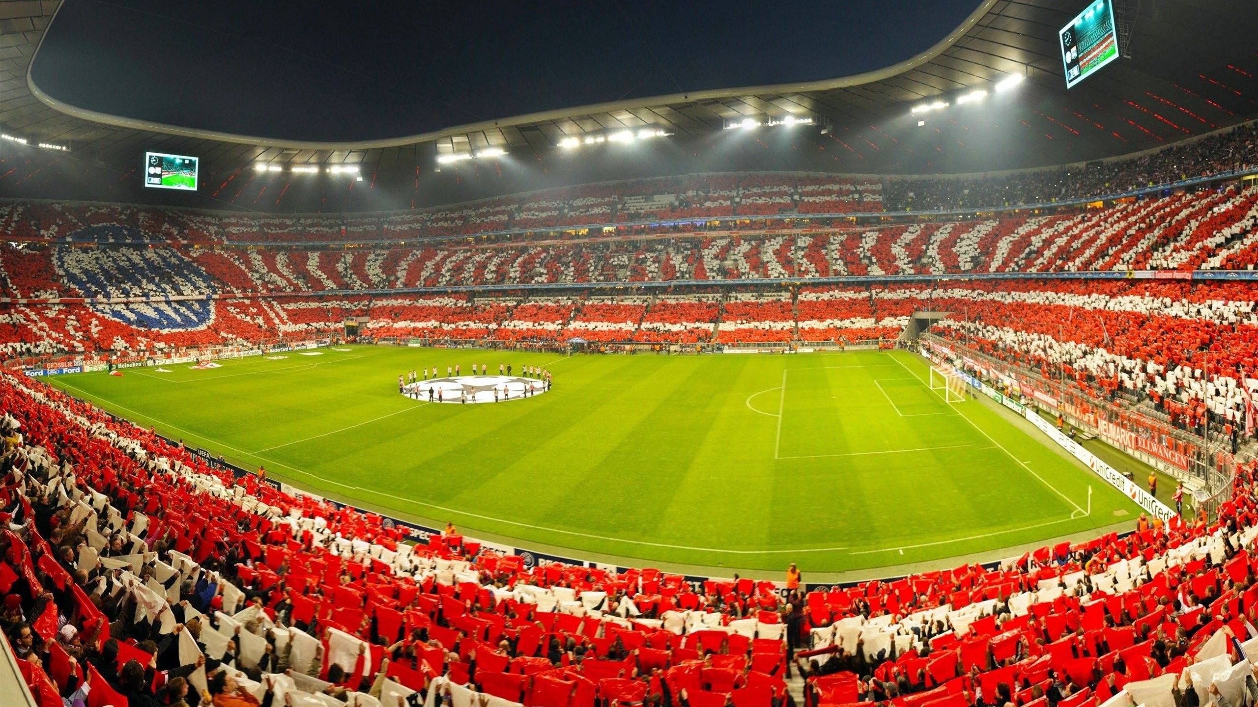 赛场“最感人的集体庆祝”，凝聚胜利的喜悦，集体庆祝动作