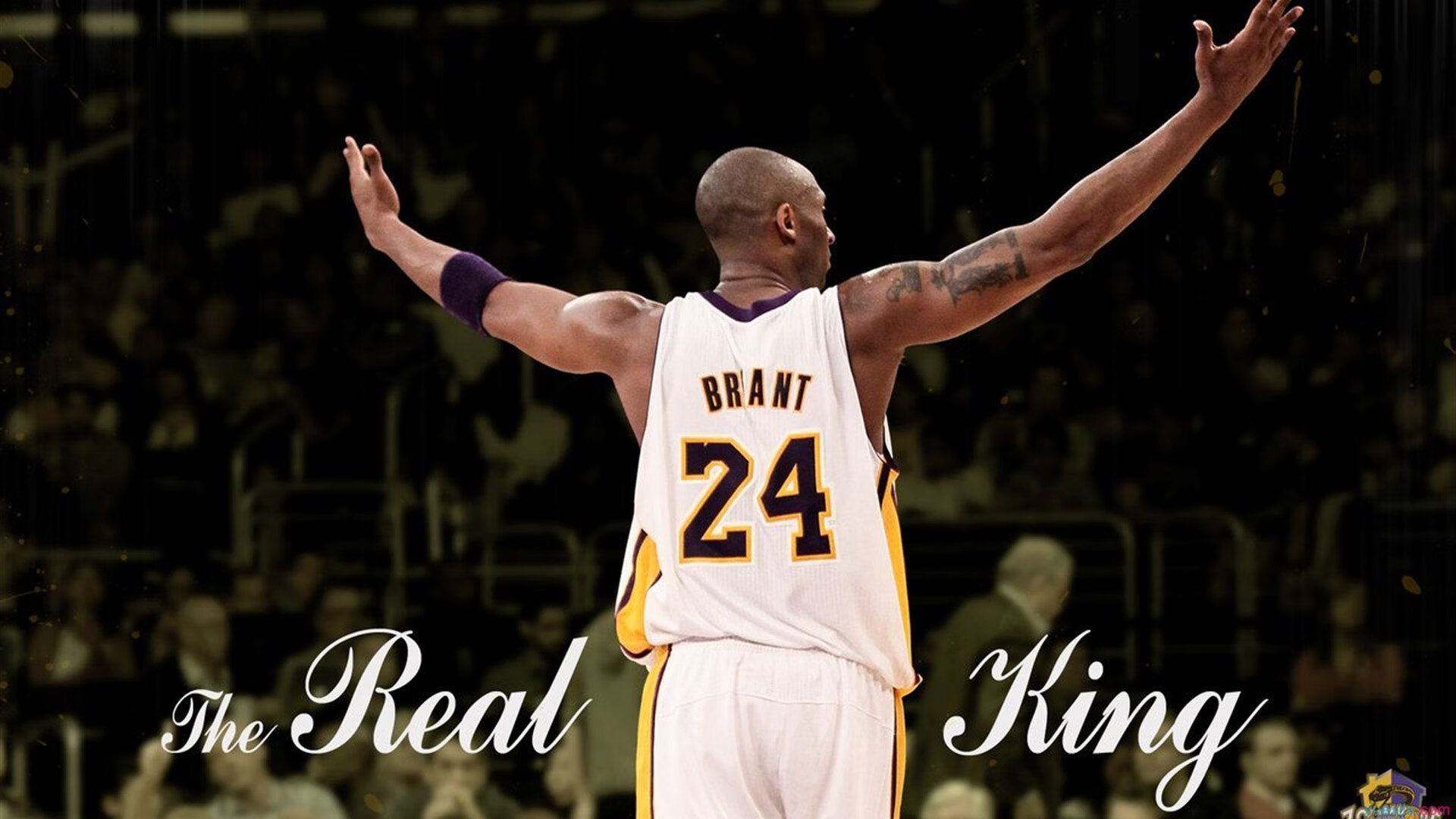 鹈鹕冲击季后赛锡安表现全面，锡安31分鹈鹕送国王3连败